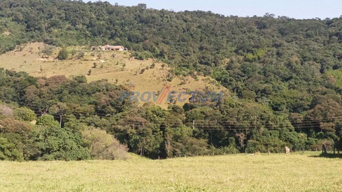 Imagem 2 de 4 de Sítio À Venda Em Bairro Da Posse - Si243855