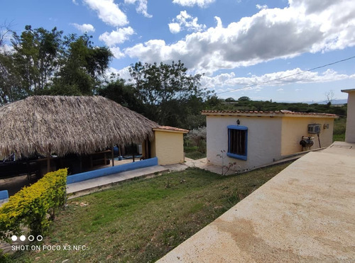 Imagen 23 de 28 de Venta De Hermosa Finca En El Estado Lara