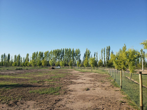 Imagen 5 de 14 de Lote De 1.850 M2 En Barrio 4 Estaciones, Calle Cubillos - Rama Caída