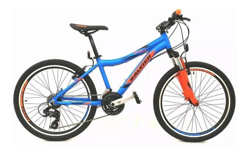 Bicicleta Mtb Raleigh Scout R24 21v Freno Disco En Gravedadx