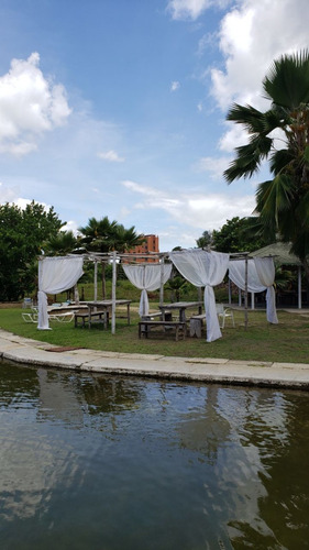 Imagen 6 de 20 de Apartamento En Alquiler Tucacas Caribbean Suites