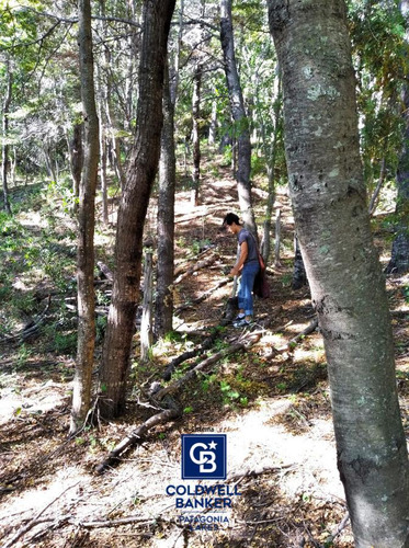 Terreno A Orillas Del Lago Nahuel Huapi - Campanario 3373 - Península De San Pedro