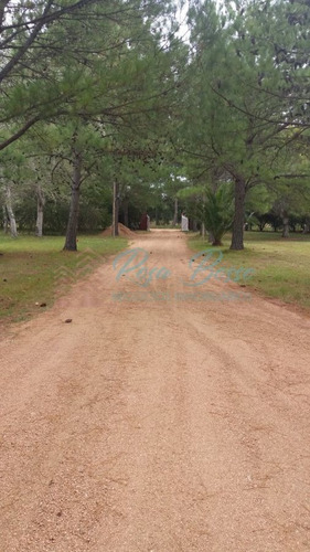 Imagen 15 de 16 de Chacra - Maldonado Otros Barrios