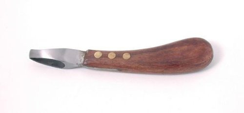 Óvalo Del Enganche Cuchillo