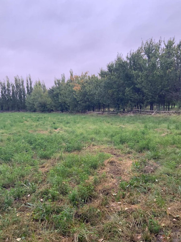 Venta De Chacra En Senillosa