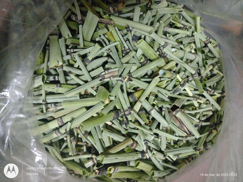 Cola De Caballo Hierba Para Infusión 400 Gramos
