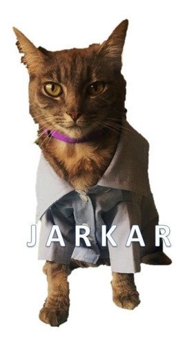Camisa Formal Para Gato