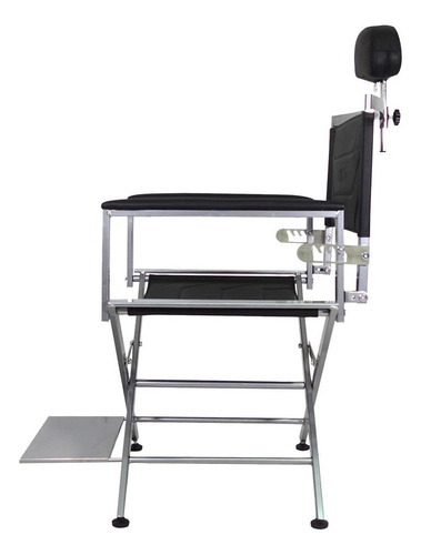 Silla Alta Plegable Tipo Director Estética Maquillaje Studio Color Plata