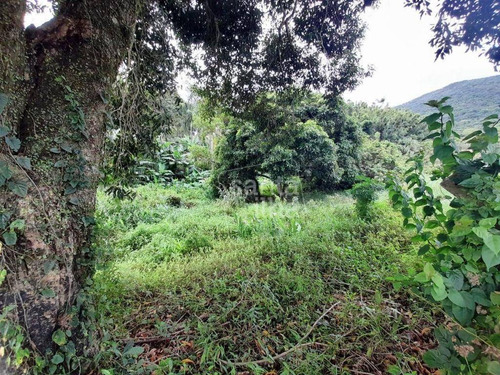 Imagem 2 de 11 de Terreno À Venda, 4017 M² - Ribeirão Da Ilha - Florianópolis/sc - Te0987