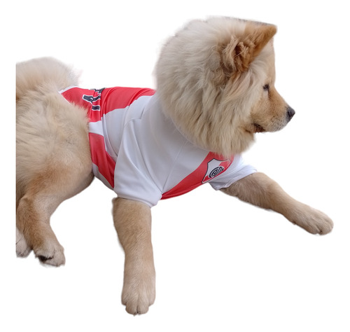 Camiseta De Fútbol Para Perros River Plate