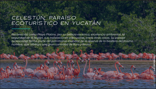 Terrenos En Venta Con Club De Playa En Celestún Yucatán