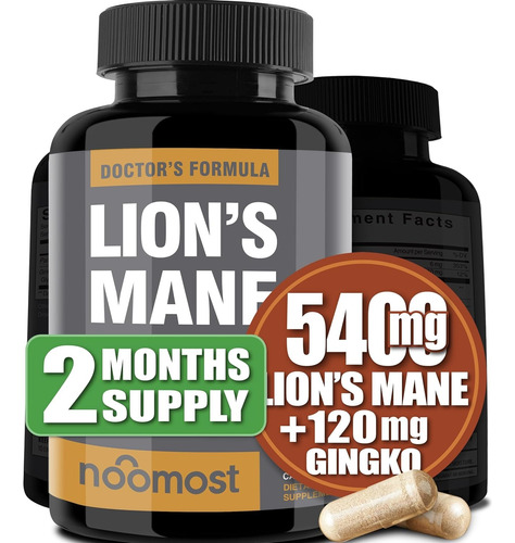 Lion's Mane + Ginkgo Biloba