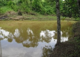 Imagem 12 de 15 de Pousada Em Ibiúna A 11km Do Centro Da Cidade | 6036 - 6036