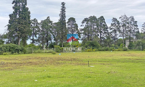 Imagen 13 de 19 de Lotes En La Pradera - Recorré Y Accedé Online