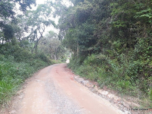Imagem 2 de 7 de Terreno - 355 - 33353919