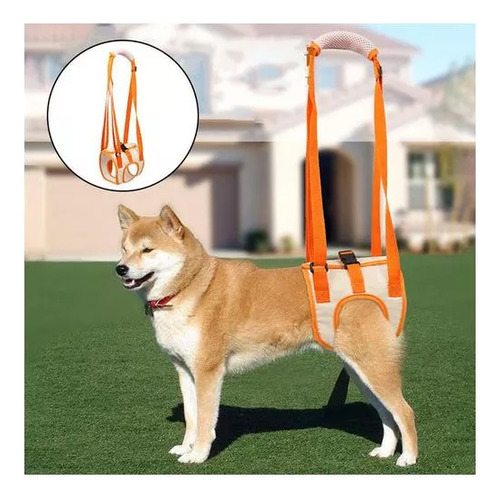 Arnés De Soporte De Cadera For Perros, Patas Traseras Y