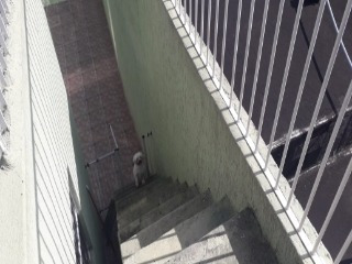 Imagem 19 de 30 de Casa - Ca00142 - 33662792