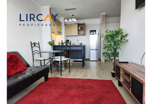 Departamento Amoblado En Arriendo En Talca.