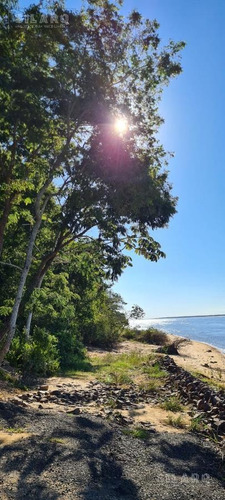 Imagen 11 de 30 de Terreno - Ita Ibate Corrientes Punta Gallino
