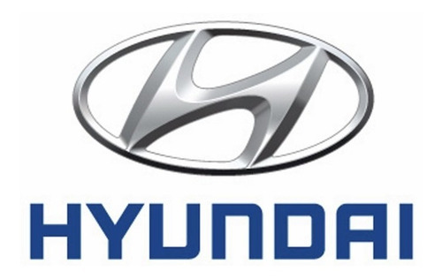 Amortiguador Hyundai Santa Fe 2.7 06-10 Delantero Der Gas