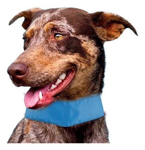 Pet Life Summer-cooling Ice Insertable Y Cuello Ajustable Co