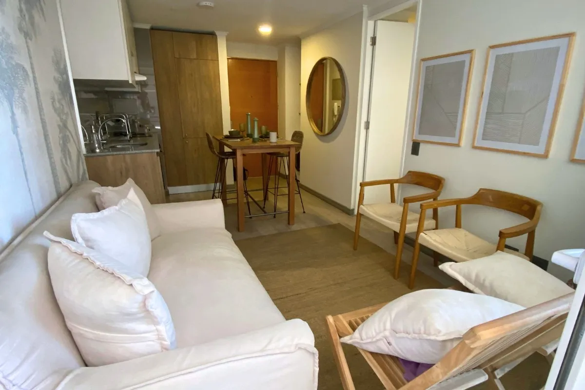 Imagen 4 de 20 de Arriendo De Departamento En Santiago. 1 Dormitorio, 1 Baño.