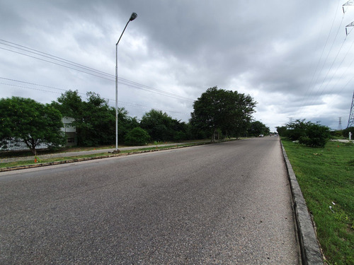 Imagen 4 de 11 de Terrenos En Venta Sobre Avenida En Calle 70 De Caucel