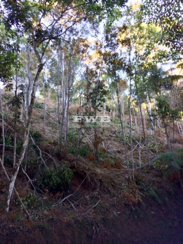 Imagem 5 de 8 de Vendo Terreno Parque Do Imbuí Fácil Acesso! - 2042007161 - 69420114