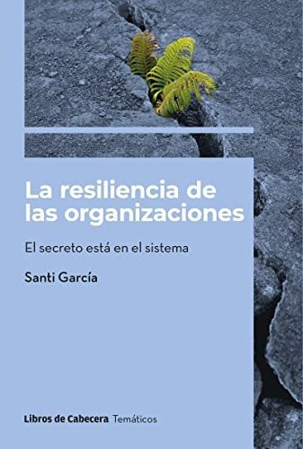 La Resiliencia De Las Organizaciones: El Secreto Está En El 