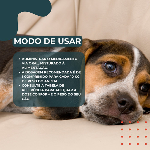 Kit 4 Chemital Plus Cães Vermífugo Comprimidos Chemitec