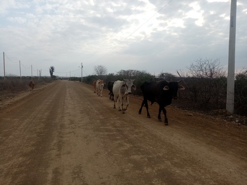 Imagen 6 de 12 de Lote De Terreno Para Rancho O Casa Cerca De La Playa
