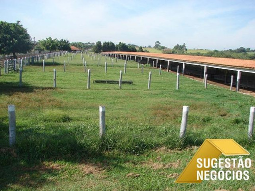 Imagem 10 de 15 de Fazenda Produtiva Região De Sorocaba Oportunidade - 2794
