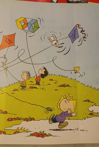 Gran Libro De Preguntas Y Respuestas De Carlitos Charlie (Usado)