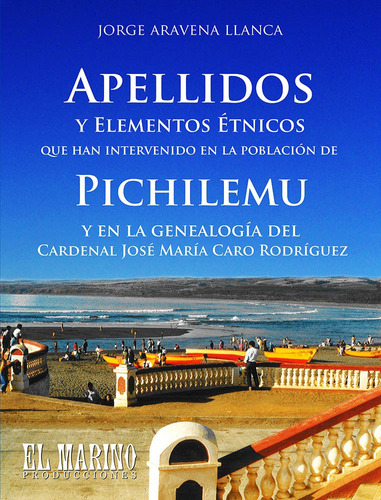 Libro Apellidos Y Elementos Étnicos Pichilemu, Jorge Aravena