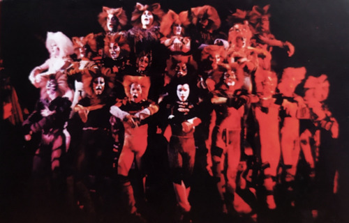 Programa Musical Cats Buenos Aires