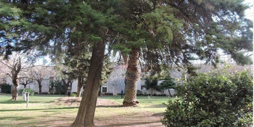 Departamento De 3 Y De 4 Ambientes. Martinez, San Isidro