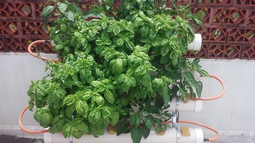 Imagen 7 de 10 de Potenciador De Floración Pyk Rinde 1000 Litros.