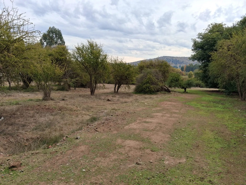Oferta Parcela 5.000 Mt2, Talca (pencahue) Agua Y Luz