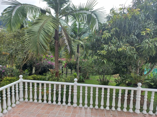 Imagen 3 de 22 de Casa