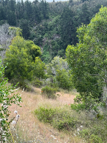 Hermoso Terreno En Loteo Vista Cuarzo , Pichilemu