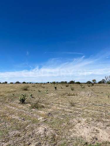 Lote En Venta En Predio El Águila, El Llano, Aguascalientes