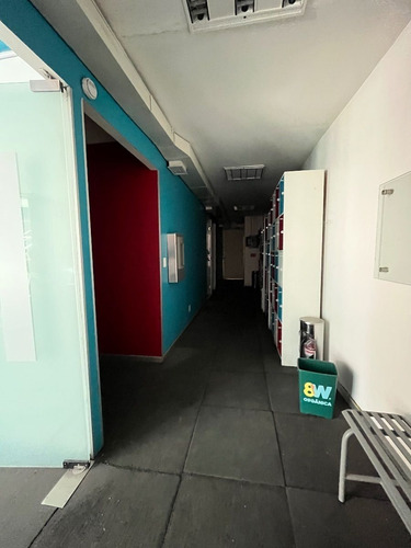 Local Comercial En Palmas Para Gym
