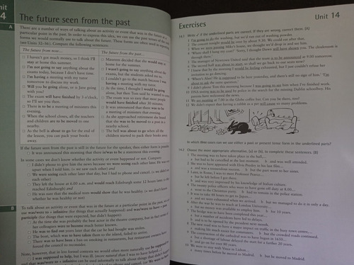 Advanced Grammar In Use Sin Cd Rom 2nd (second) Edition (Usado)