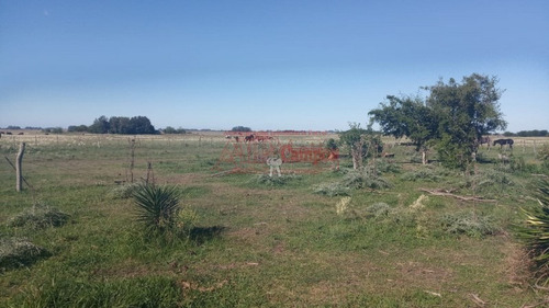 Imagen 13 de 15 de Venta,de Importante Campo En Roberto. J. Payro, Partido De Magdalena.