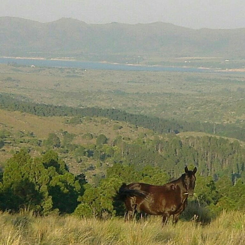 Imagen 4 de 15 de Vendo Lote En Lomas De Tigre (urbanizacion De Categoria)