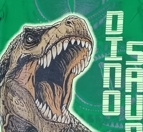 Imagen 3 de 3 de Polo Dinosaurs
