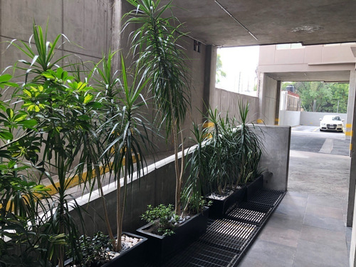 Imagen 15 de 17 de Departamento Venta Lago Chiem Pensil Miguel Hidalgo