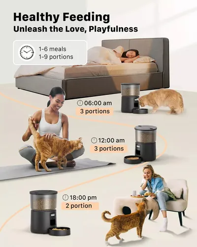 Comedero Automático Programable Mascotas Con Timer Y Audio