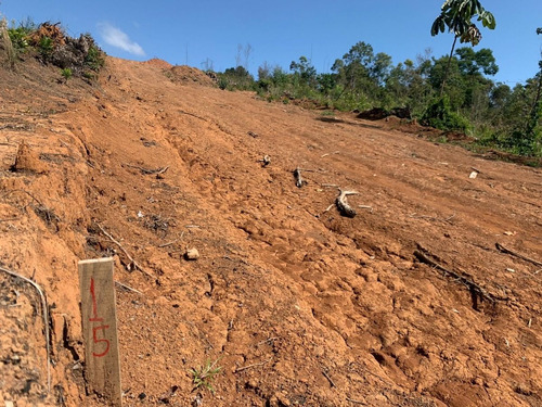 Imagem 23 de 28 de E.c / Venha Ver Seu Terreno De Alta Qualidade
