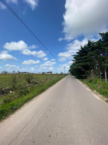 Imagen 5 de 7 de Terreno La Plata